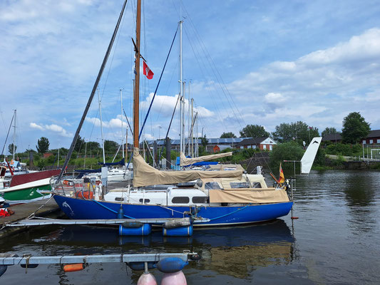 Segelboot Ylva mit blauem Rumpf an Land vor Bäumen